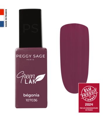 Laque Verte - Bégonia Réf 107036