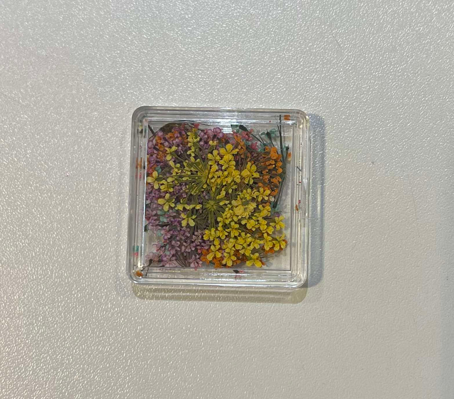 Carré mélange de fleurs séchées
