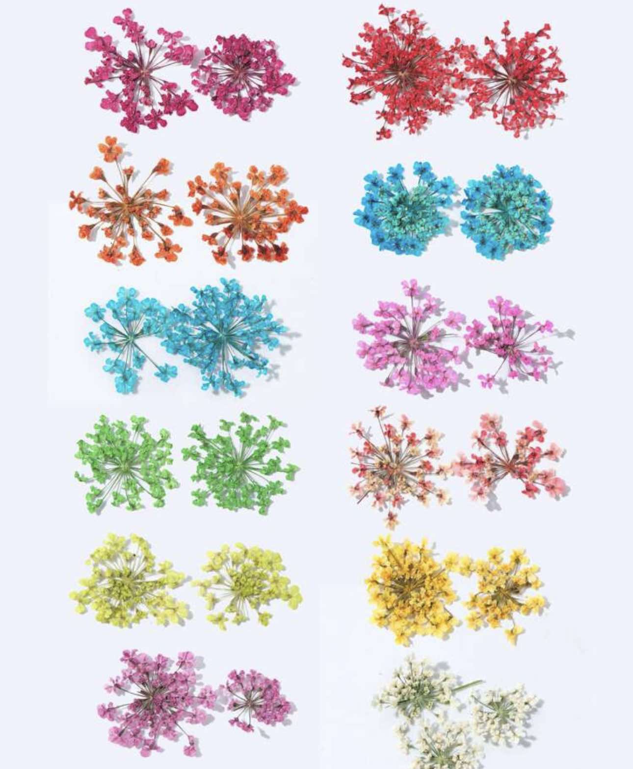 Gedroogde bloemen 24 stuks