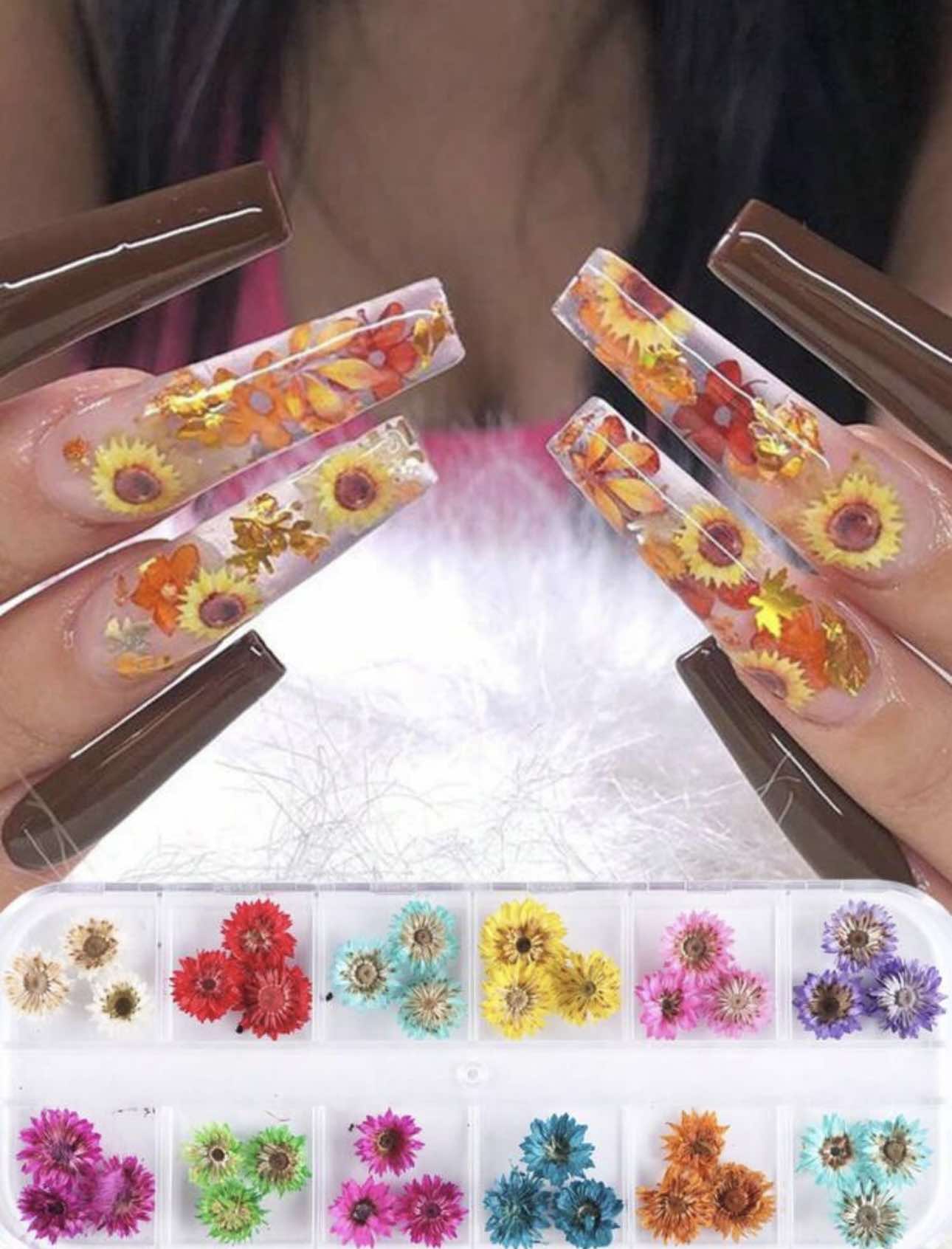 Gedroogde madelief bloemen 36 stuks