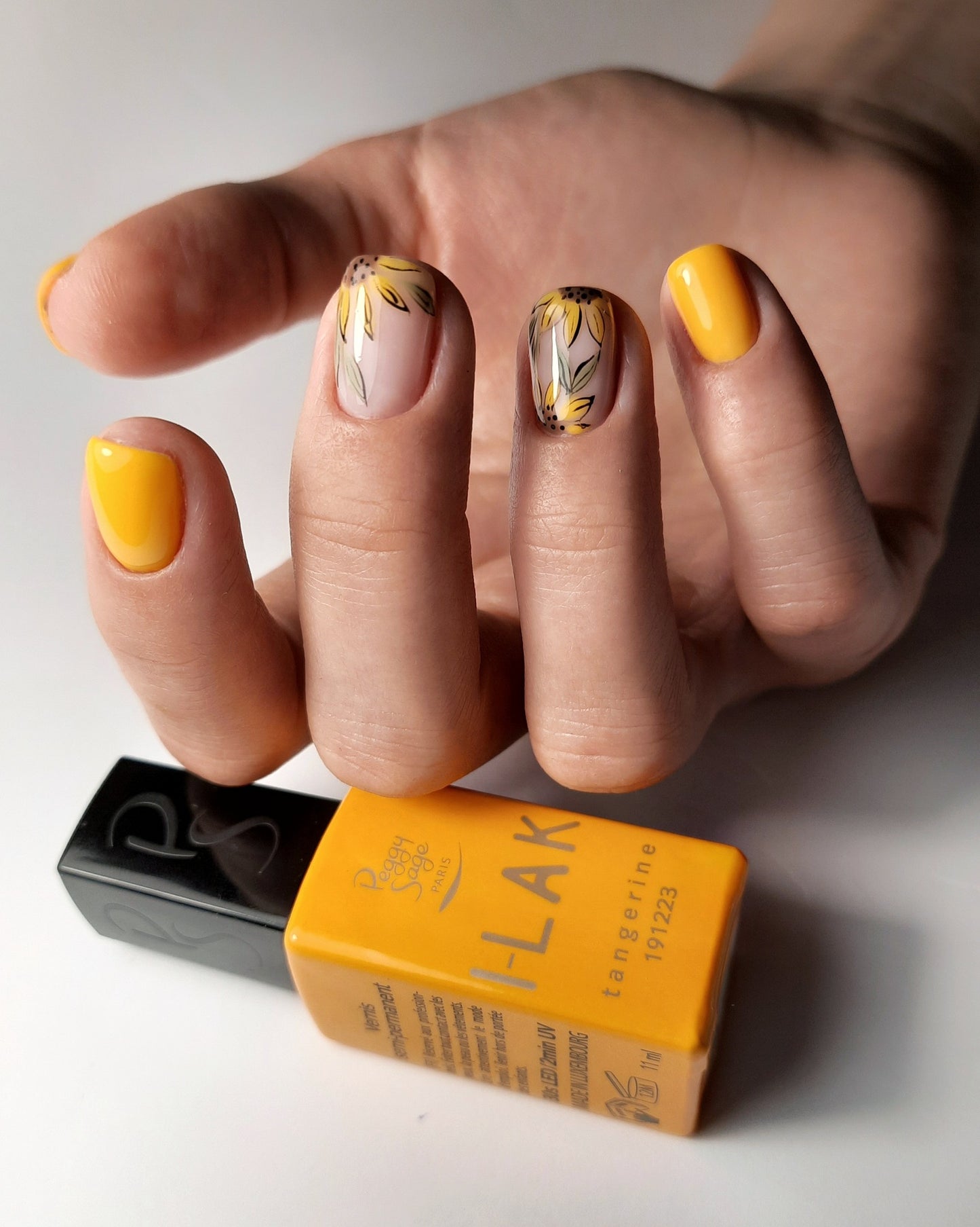 ALL AROUND NAILTECH PRIVE OPLEIDING VOORSCHOT €500