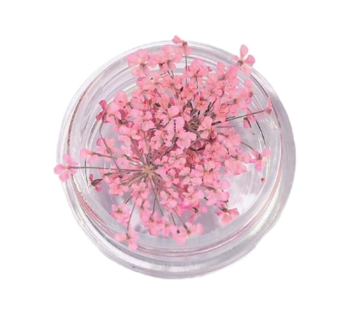 Droogbloemen babyroze