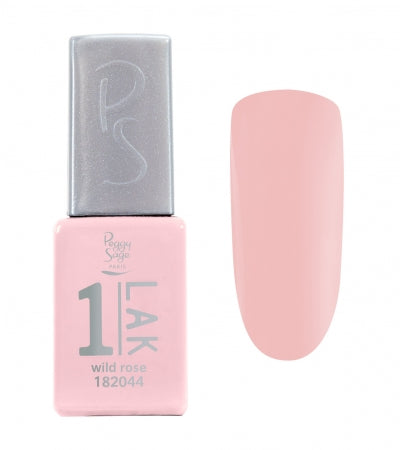 1-PAINT Wild Rose Ref 182044