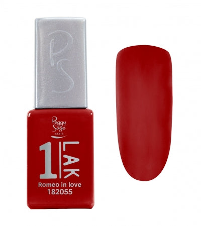 1-PAINT Romeo In Love Ref 182055