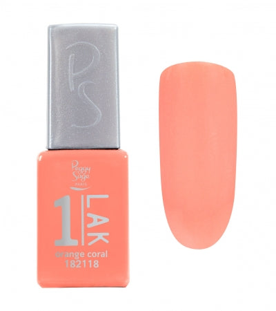 1-PEINTURE Orange Corail Ref 182118