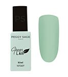 ONE SHOT Greenlak - Kiwi ref 107207