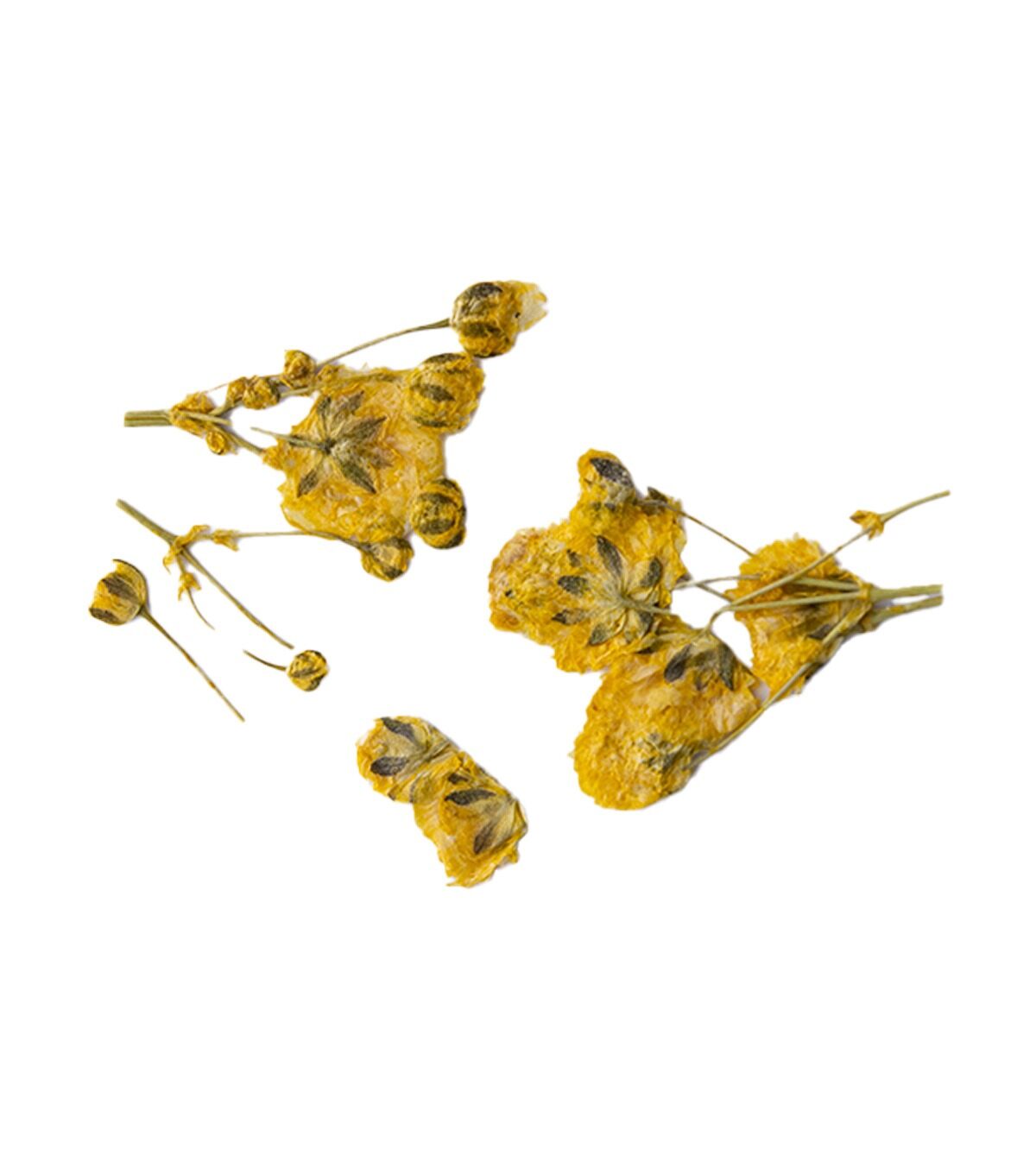 ONE SHOT Droogbloemen ' Yellow Branches' Ref 898503