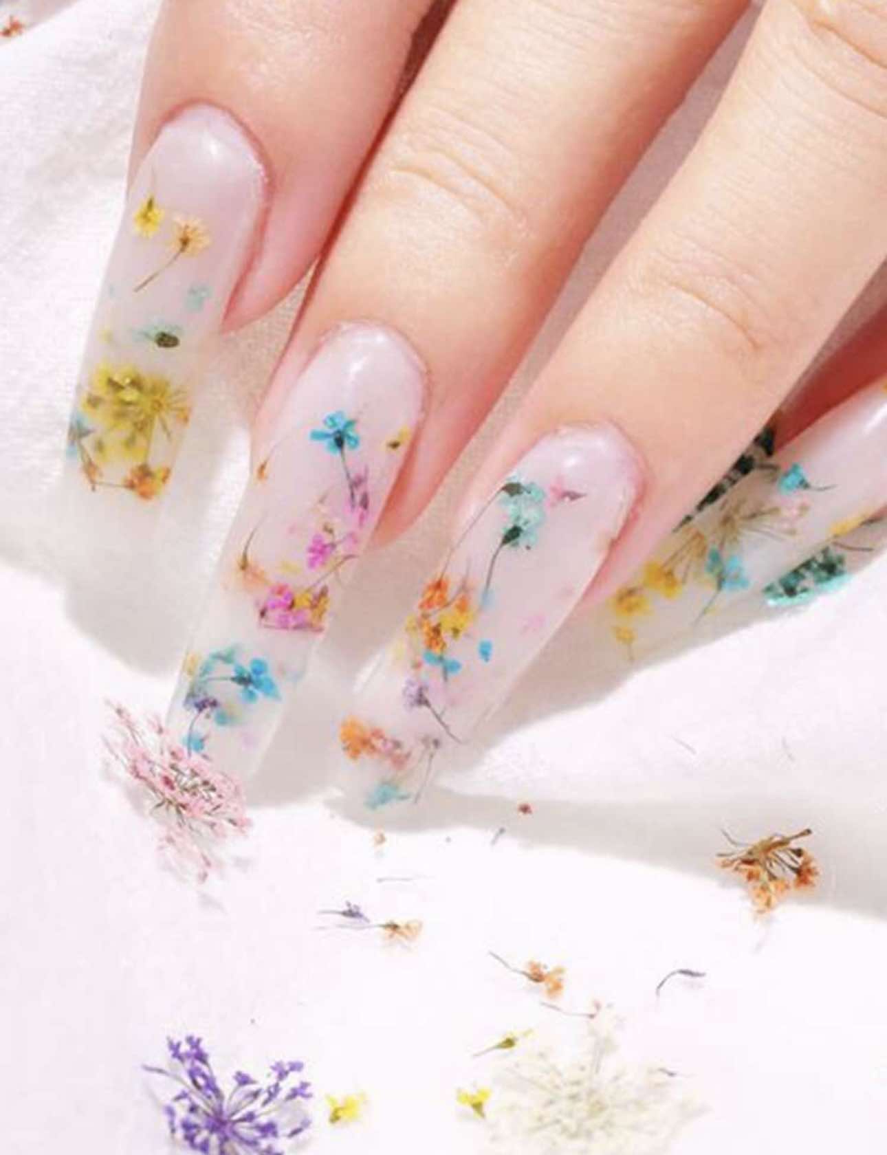 Gedroogde bloemen 24 stuks