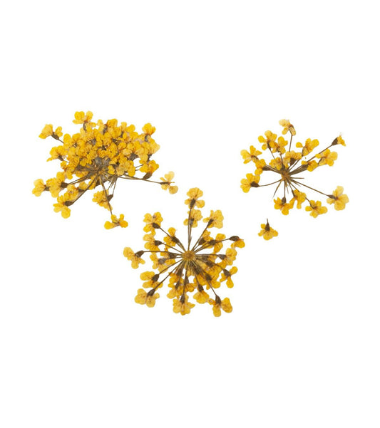 ONE SHOT Droogbloemen ' Yellow Bouquet' Ref 898502