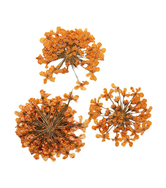 ONE SHOT Droogbloemen ' Orange Bouquet' Ref 898504
