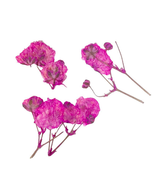 ONE SHOT Droogbloemen ' Pink Branches' Ref 898507