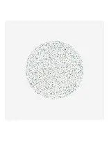 Staleks PRO White Refill Disponable Files For Pododisc M 180GR x50