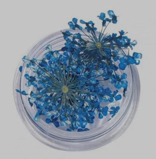 Droogbloemen blauw