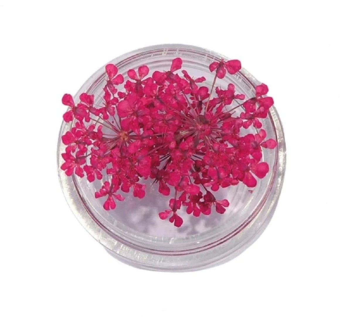 Droogbloemen felroze