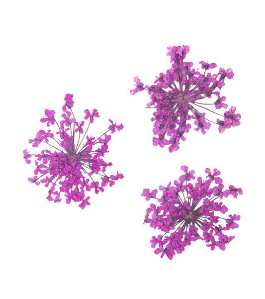 ONE SHOT Droogbloemen ' Pink Bouquet' Ref 898506